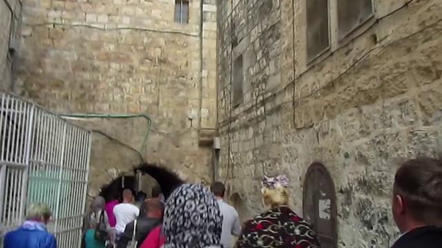 Полный Египет! Март. Куда полететь в марте 2017? смотреть онлайн