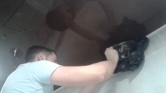 Летучая мышь в доме. Как поймать. смотреть онлайн