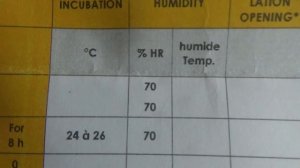 Инкубация МУСКУСНОЙ УТКИ ИНКУБАЦИЯ Индоуток Мой первый опыт