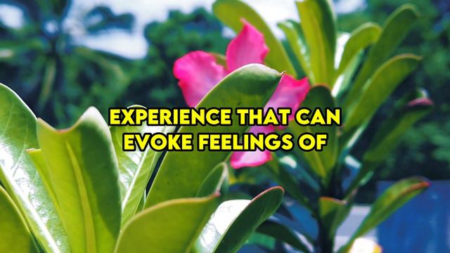 These are the Strange Characteristics of People Who Are Mentally Abused by Narcissists #narcissist смотреть онлайн