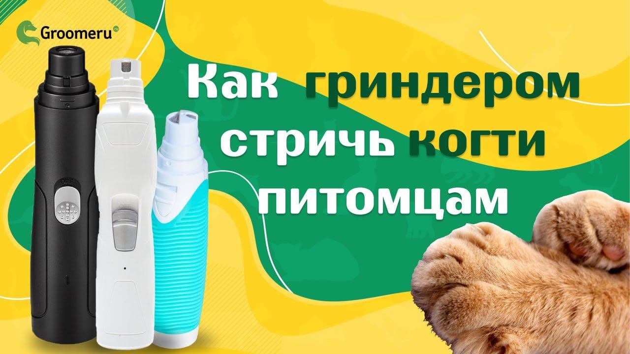 Как гриндером стричь когти питомцам, как он помогает в стрижке и груминге | обзор моделей GRODO смотреть онлайн