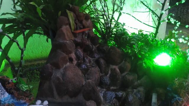 CHRISTMAS CELEBRATION 2021 @MPA (PART 1) смотреть онлайн