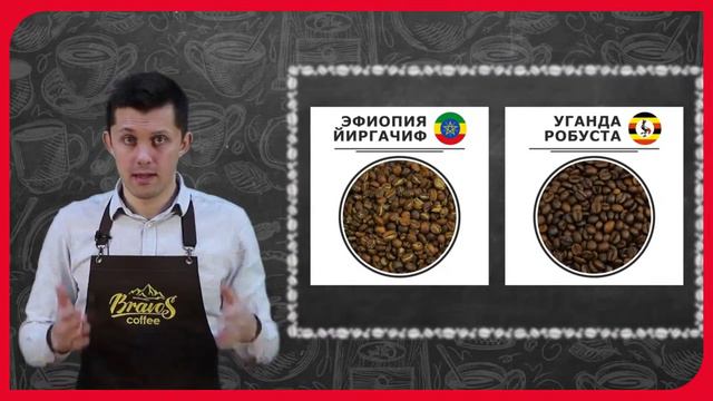 Обзор кофе Робуста - особенности сорта, преимущества, плюсы и минусы смотреть онлайн