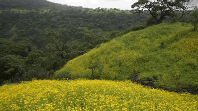 Исцеляющая музыка рейки, дыхание светом. Обновление и спокойствие. Healing reiki music. смотреть онлайн