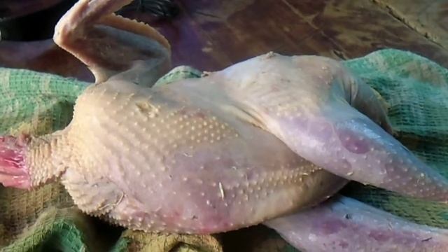 Цесарка.Вес тушки смотреть онлайн