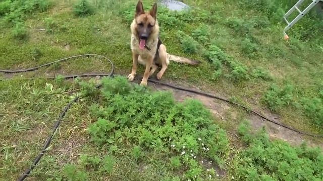 Мойка двигателя уайт-спиритом и самодельным пеногенератором смотреть онлайн