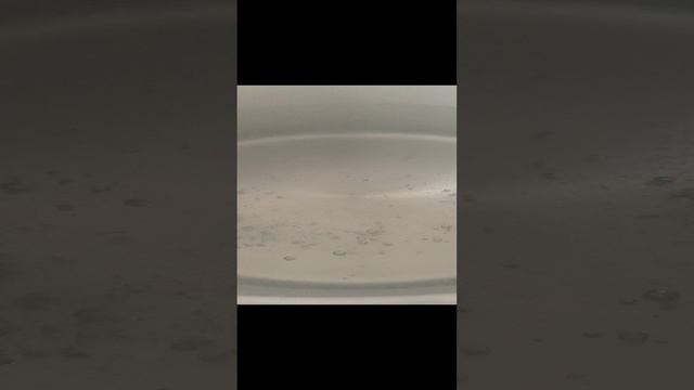 07-08-2024 смотреть онлайн