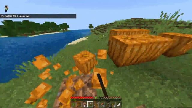 I Survived 24 Hours in LIFESTEAL SMP Minecraft (Hindi gameplay) || Join Now? смотреть онлайн