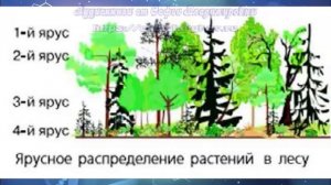 Биология 7 кл Пасечник §62 Среда обитания. Экологические факторы