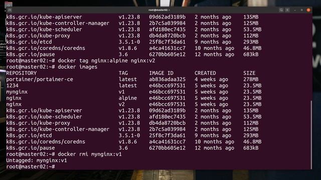 Docker tag &untag-dangle image-multi architecture image смотреть онлайн
