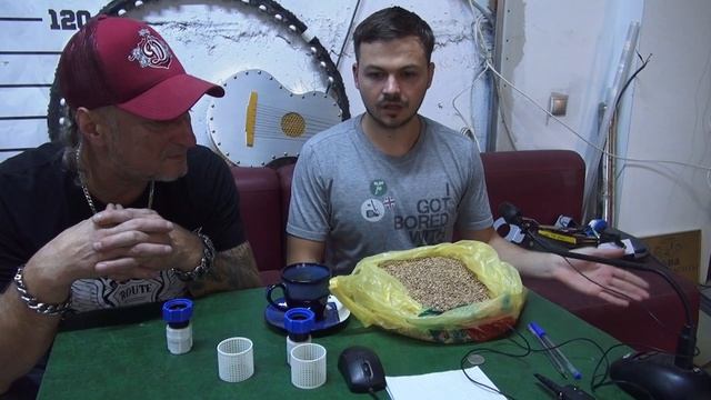 Какую пшеницу выбрать. Зеленый Шеф. смотреть онлайн