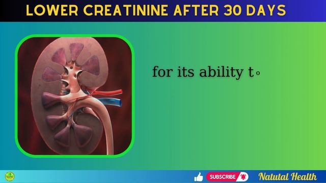 How To Lower Creatinine NATURALLY? Discover the Power of These 7 Superfoods смотреть онлайн