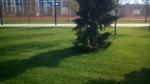 Новый парк у стадиона ФК Краснодар 2 часть ( Октябрь) смотреть онлайн