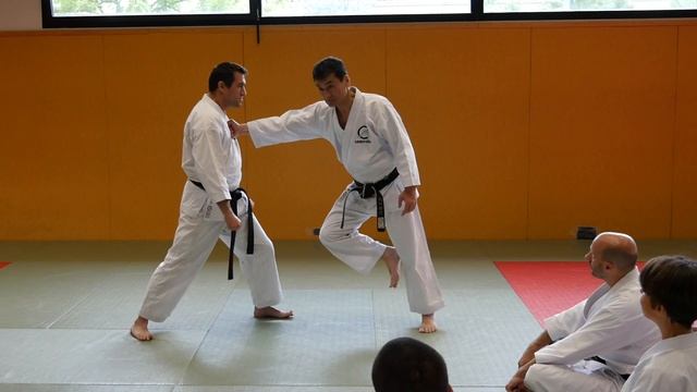 #2 Karate Basics - Shotokan Seminar In Grenoble, SKAI France【Akita's Karate Video】