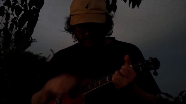 true love will find you in the end (ukulele cover)