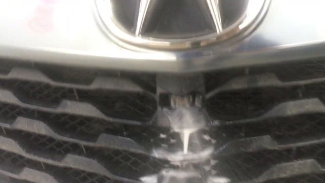 Омыватель камеры переднего вида Acura смотреть онлайн
