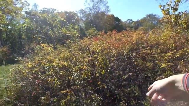 На велике поехал за бояркой