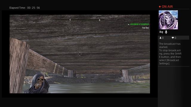 Pranking Daedroth Slayer with fake Akaviri Motifs смотреть онлайн