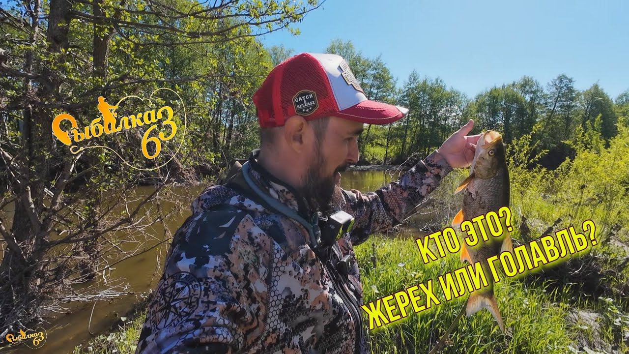 ВОТ ЭТО РЫБА, ВОТ ЭТО ПОКЛЕВКА. КТО ЭТО ЖЕРЕХ ИЛИ ГОЛАВЛЬ? МНЕНИЯ РАЗДЕЛИСЬ смотреть онлайн