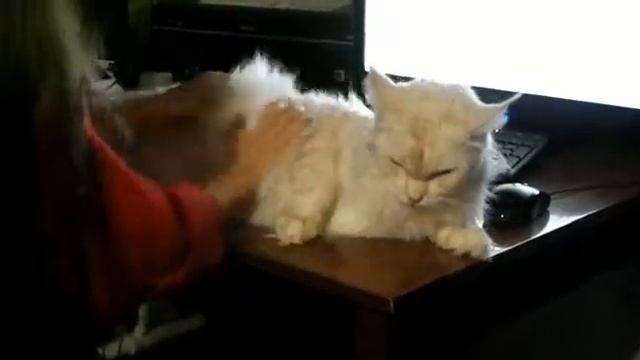 Нас снимали  скрытой камерой, Лирикум