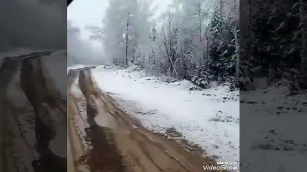 Макс Вертиго#Jaroom - Тайга