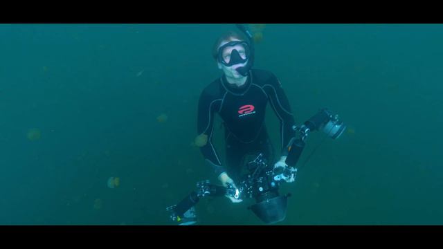 Stingless Jellyfish Lake of Kakaban Island [4K] | Indonesia from Below (S01E03) | SZtv смотреть онлайн