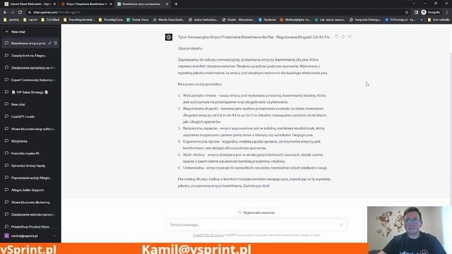 Chat GPT i tworzenie opisów ofert na Allegro смотреть онлайн