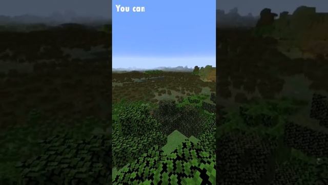 Minecraft Distant Horizons Mod #shorts #minecraft