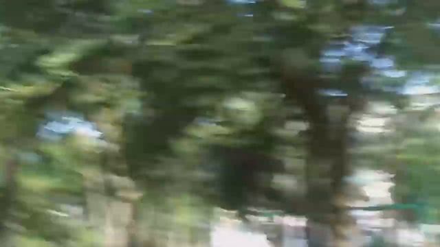 поселок Мирный Центр смотреть онлайн