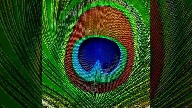 Меркурий (среда) смотреть онлайн