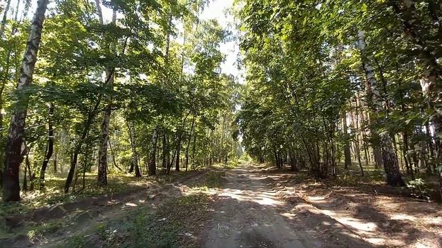 Наступил на те же ГРАБЛИ... НЕ ценим...на прогулке...С Новым годом !!! смотреть онлайн