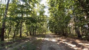 Наступил на те же ГРАБЛИ... НЕ ценим...на прогулке...С Новым годом !!!