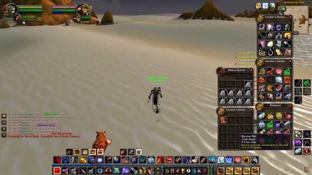 44 Hunter vs 57 Paladin | Turtle WoW | Classic WoW смотреть онлайн