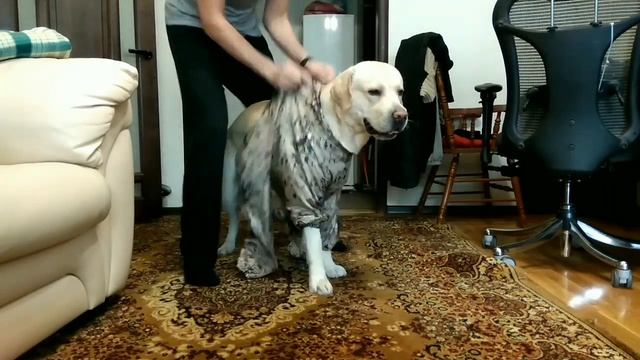 Как мы надеваем комбез смотреть онлайн