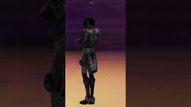 L2 Dark Elf B-Grade Avadon Sets смотреть онлайн