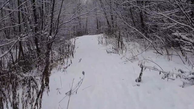 Москва. Бибирево. Чермянка - дикая глухомань. Часть 1. смотреть онлайн