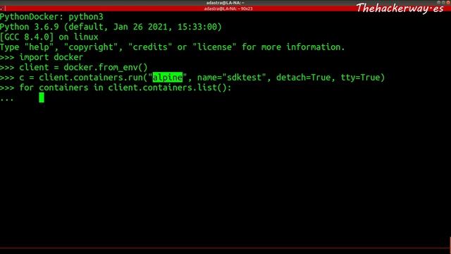 Cómo controlar Docker desde tus scripts en Python – Parte 1 de 2 смотреть онлайн