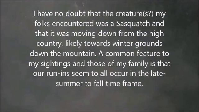 WITNESS SHARES ENCOUNTERS FROM THE SIERRA MOUNTAINS! смотреть онлайн