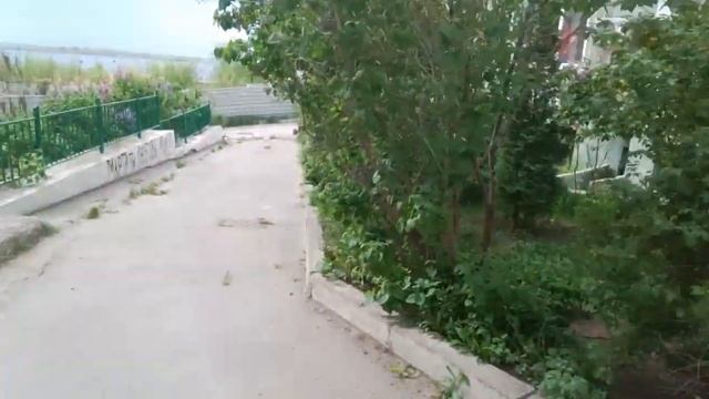 Великолепные Цветы во дворе дома в начале мая смотреть онлайн