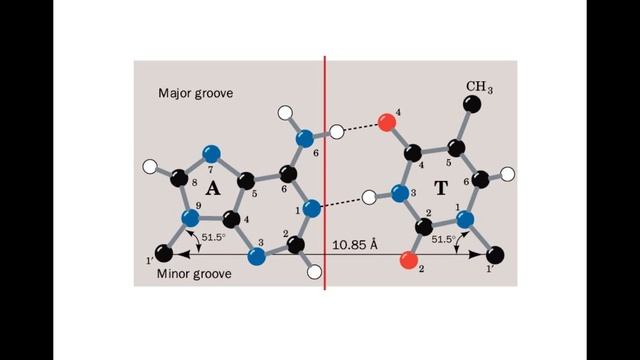 Groovy DNA смотреть онлайн
