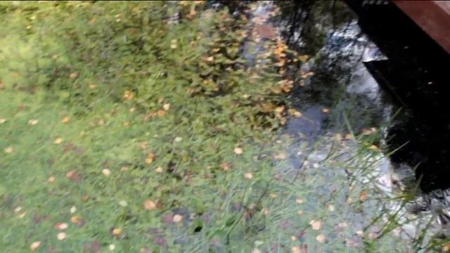 Здесь начинается река Волга смотреть онлайн