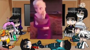 Hashiras react to Elsa