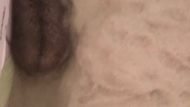 Мой хомяк Бублик смотреть онлайн