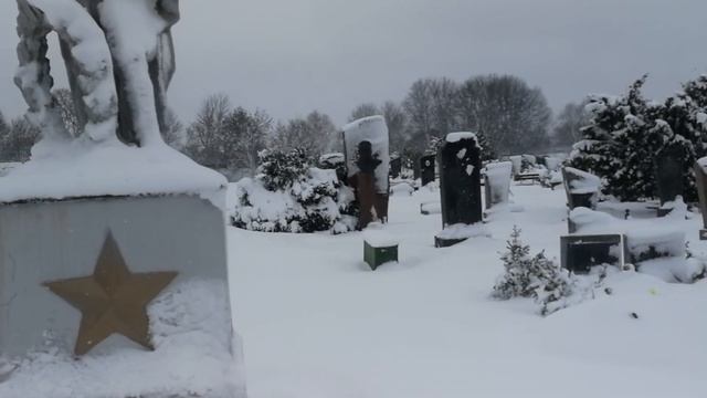 Памятник П.М.Гаврилову смотреть онлайн