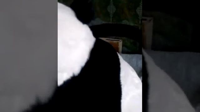 Подарки на день рождения дочке смотреть онлайн