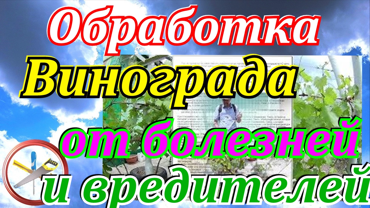 Обработка винограда от болезней и вредителей.Таблица совместимости пестицидов и фунгицидов.mp4 смотреть онлайн