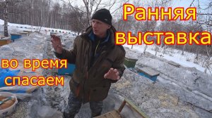 РАННЯЯ ВЫСТАВКА ПЧЁЛ!!! КАРНИКА в СИБИРИ  Спасаем лёгкие семьи!