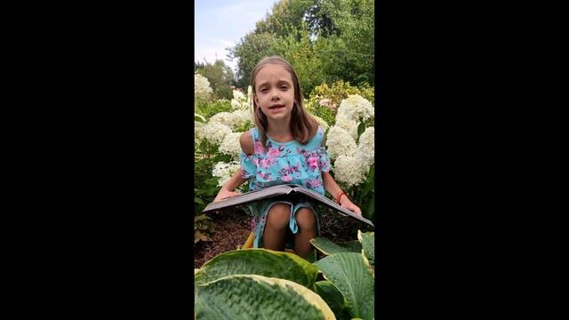 Буктрейлер Цветик-семицветик В.Катаев смотреть онлайн