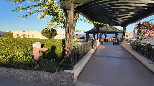 Египет 🇪🇬 Charmillion Club Resort 5* Шарм-Эль-Шейх/Обзор Территории /Первая линия