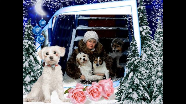 Песня Для тех кто не с нами смотреть онлайн